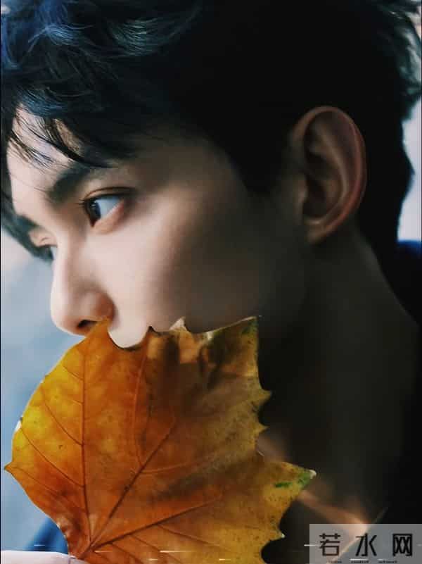 吴磊星光值20分钟暴涨104万,刷票被全网群嘲,刘宇宁白鹿遭质疑