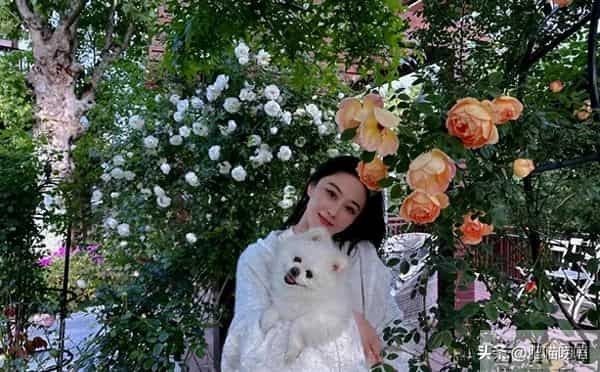 38岁张馨予晒近照,穿卫衣扎马尾似20岁,何捷真把她宠成了小女孩