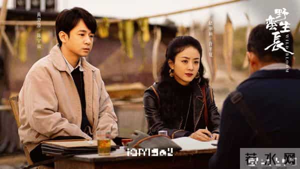 2026年央视春晚的主题定了！释放出3大信号，娱乐圈的风向又变了