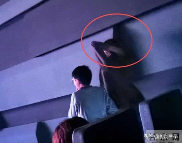 曾主持13年春晚，如今却跌落神坛的董卿，终要为“老赖”丈夫买单