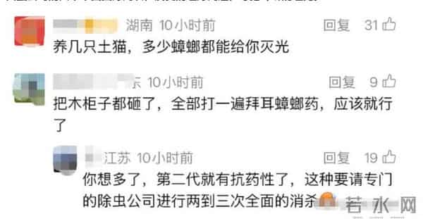 钱再多有什么用！林青霞奢华了一辈子，晚年竟然住进了“蟑螂屋”