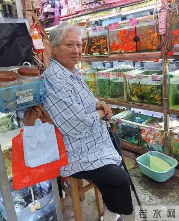 洪金宝“注射神秘液体”真相大白,长子曝更多内幕,成龙早有表态