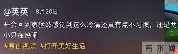 小杨哥停播一年多，小杨嫂大变样，从清纯脸变欧美脸，差点认不出
