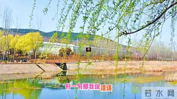 阿杜困境背后三大原因，深度解析谁之过