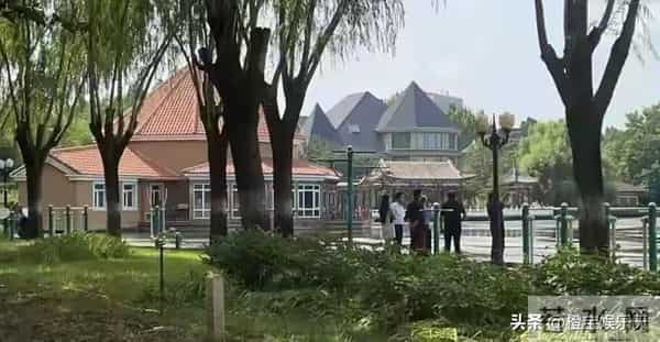 徐萌的“夺嫡模板”,比邓文迪还高明!