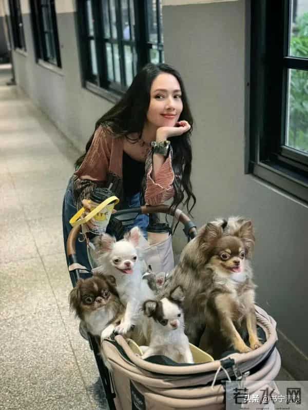 这一次,面相大变的郭碧婷 撕碎了向太最后的体面,原来郭爸没说谎