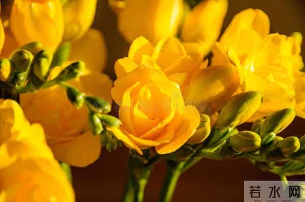 一个女人思念你，其实是有信号的