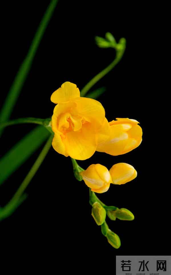 一个女人思念你，其实是有信号的