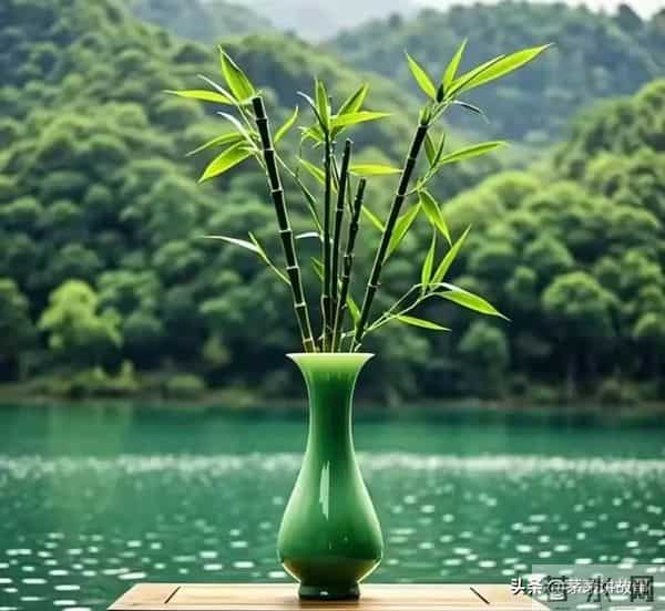 若是，天意安排你看这段话，说明你慧根已开启