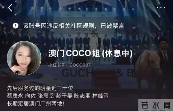 “澳门COCO姐”被多平台禁言；曾凭借8.8元两条的虫草内裤月销250万元，称霸男装带货赛道