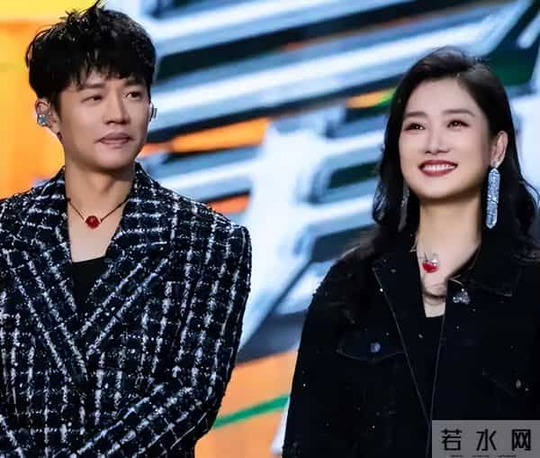 墙倒众人推！44岁"消失"的玲花，终是为搭档行为买了单，她后悔么