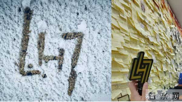 鹿晗的立冬专属宠爱：粉丝的牵挂藏在饺子里