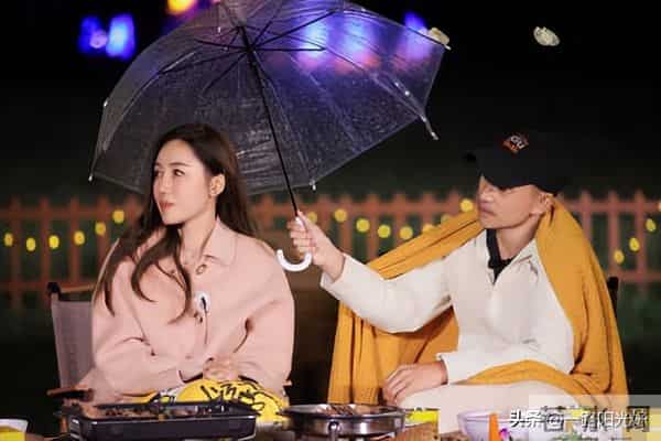 倪萍吃亏在不懂香港法律，被车崇健怼到无语，林心如一眼看出问题