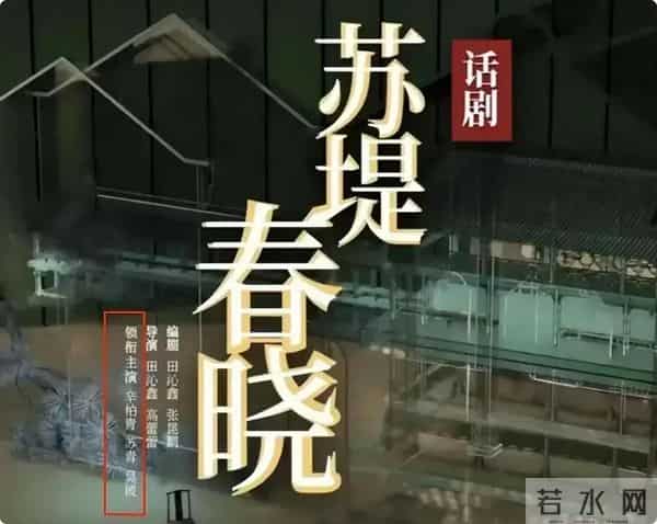直到离世5个月的朱媛媛被央媒“点名”，才明白辛柏青的良苦用心