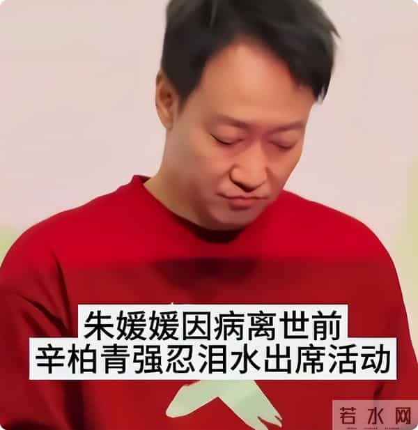 直到离世5个月的朱媛媛被央媒“点名”，才明白辛柏青的良苦用心