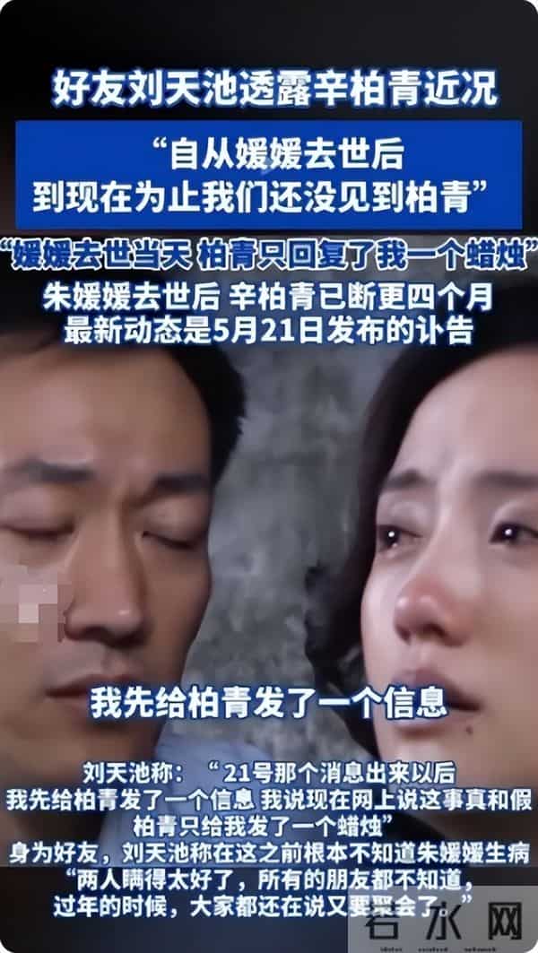直到离世5个月的朱媛媛被央媒“点名”，才明白辛柏青的良苦用心