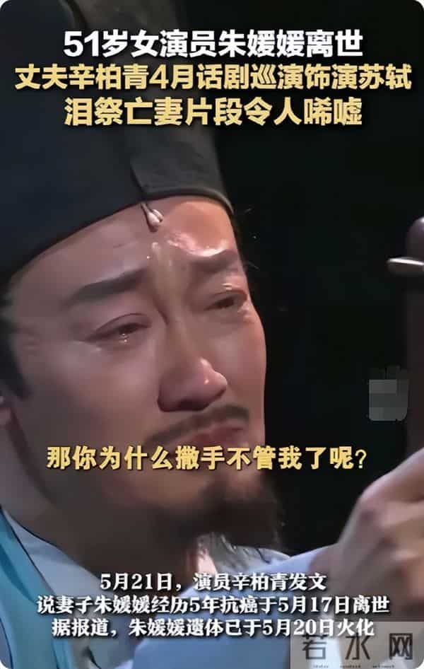 直到离世5个月的朱媛媛被央媒“点名”，才明白辛柏青的良苦用心