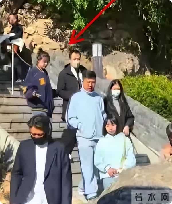 直到离世5个月的朱媛媛被央媒“点名”，才明白辛柏青的良苦用心