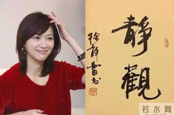 没结婚但有伴侣，定居美国6年的徐静蕾，51岁生活低调吃成胖美人