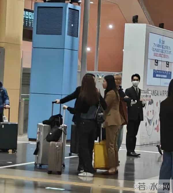 网友日本机场偶遇章泽天，戴眼镜超美气质绝