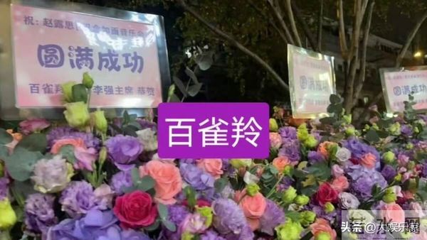 正式解约！赵露思生日会泪崩坦言再也当不了演员！新经纪人竟是他