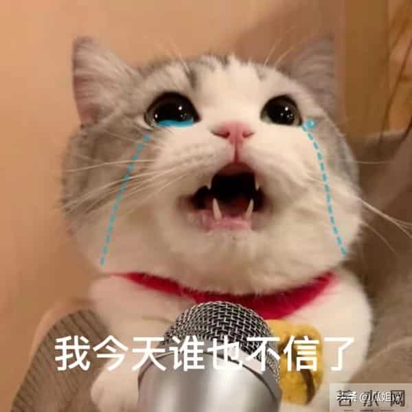 白百何的说法被推翻了！《春树》导演制片人回应，背后真相几何？