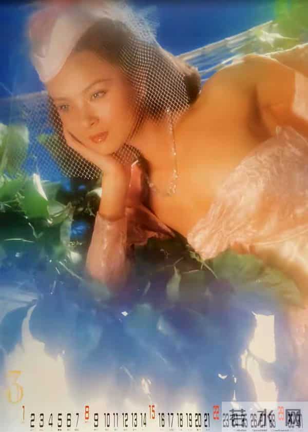 1992年挂历欣赏(红极一时的经典剧照,惊艳了时光!)