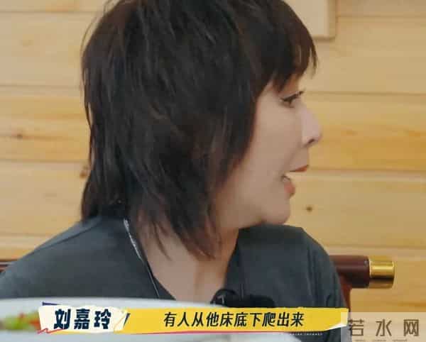 刘嘉玲曝刘德华收工回酒店，有人从他床底下爬出来：“在里面躲了一天”