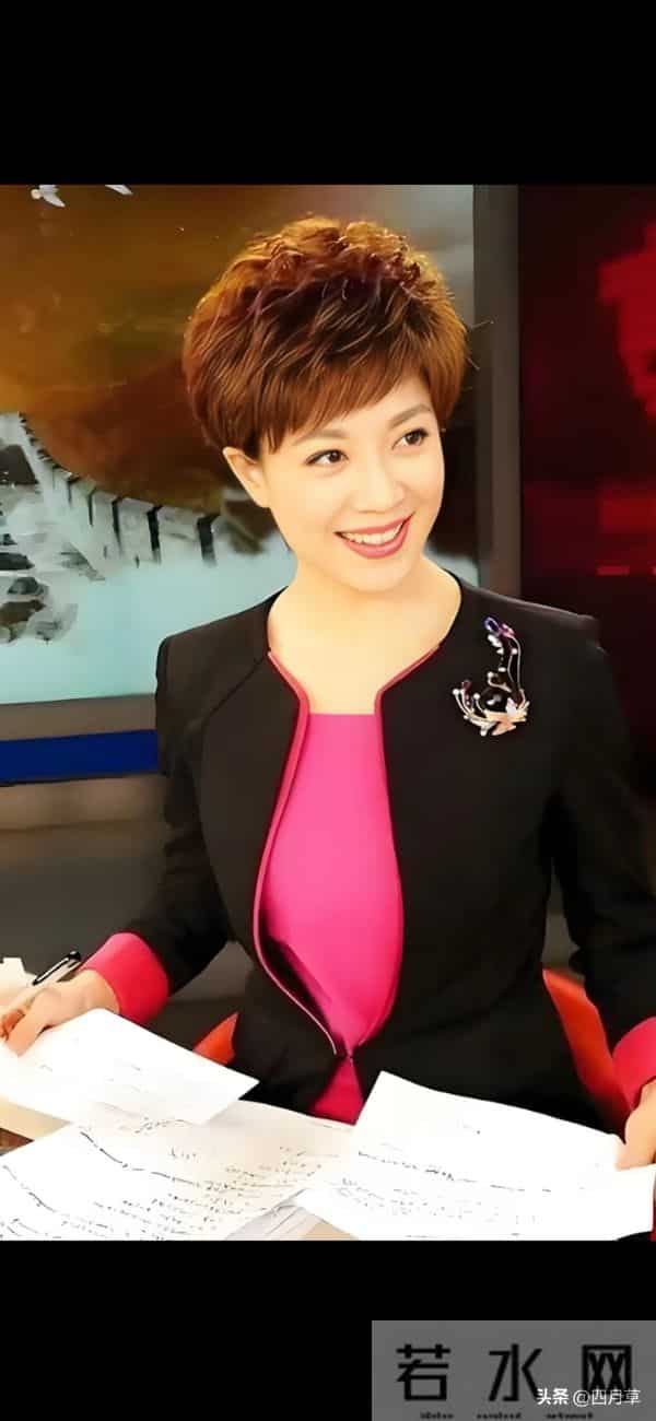 主持人，李文静