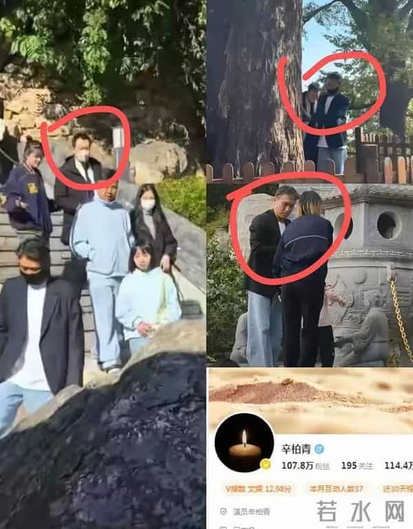 一张合照,意外戳穿辛柏青的真实处境,原来朱媛媛生前真的没说错