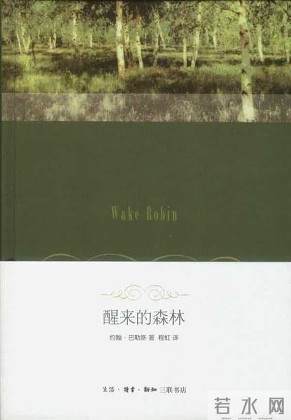 “荒野求生”何以爆火：在屏幕里放养困在都市的灵魂