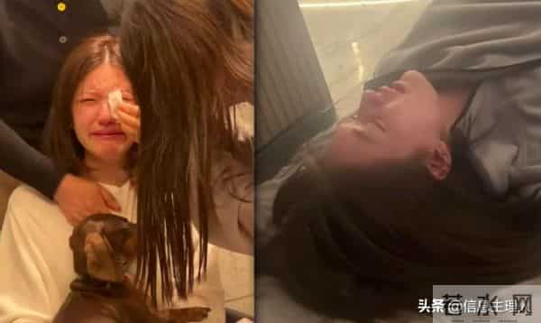 赵露思的“啪啪打脸”也来的太快了，原来早就选好了新公司