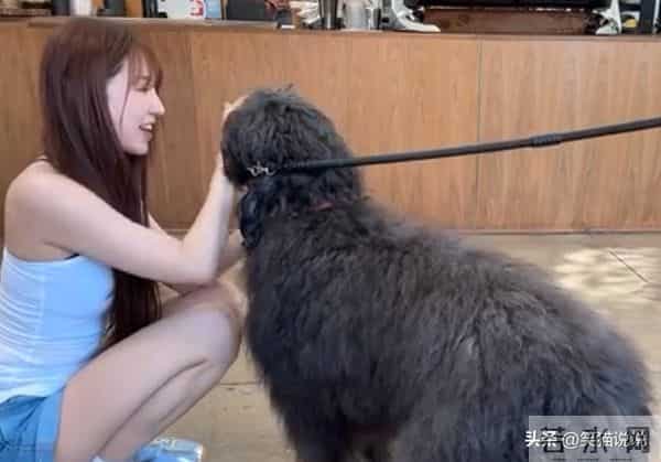 尹恩惠晒新照:在LA打卡咖啡屋,白背心短裤好清爽!