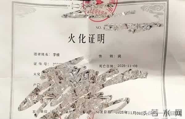 一路走好！4天传来3位名人离世的消息，死因一个比一个意外