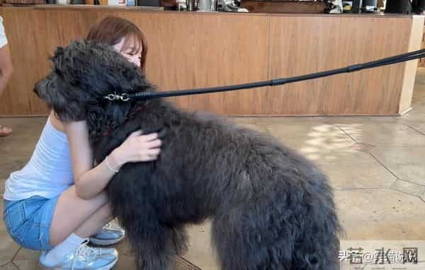 尹恩惠晒新照:在LA打卡咖啡屋,白背心短裤好清爽!