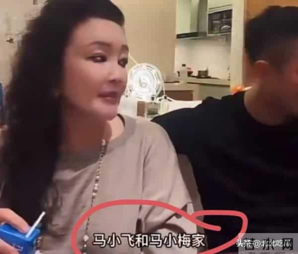 张兰终于如愿以偿！大S离开后她受益最大，儿子媳妇再传好消息