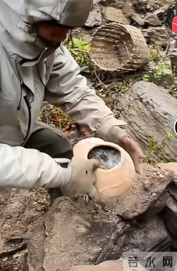 “荒野求生”何以爆火：在屏幕里放养困在都市的灵魂