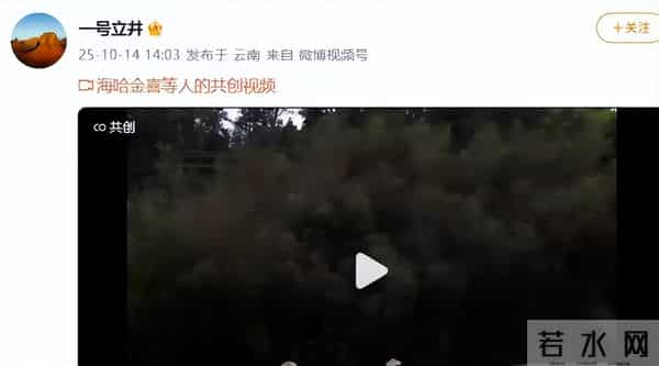 海哈金喜离婚后晒女儿！3岁夏夏哄妈妈开心，新家一地玩具显拥挤