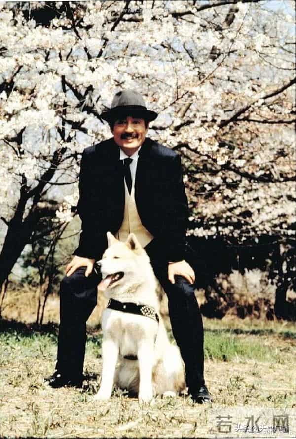 逝者 - 日本著名演员去世!外交部:表示哀悼!