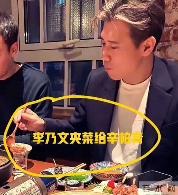 一张合照,意外戳穿辛柏青的真实处境,原来朱媛媛生前真的没说错