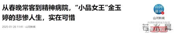与春晚导演有染、插足别人家庭、精神病,金玉婷身上哪个标签是真