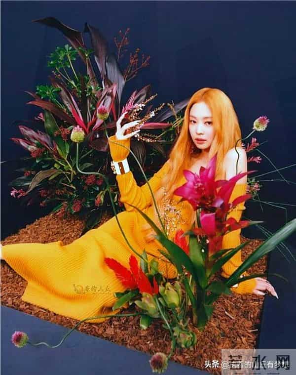 速看!韩国娱乐偶像Jennie Kim写真太绝了