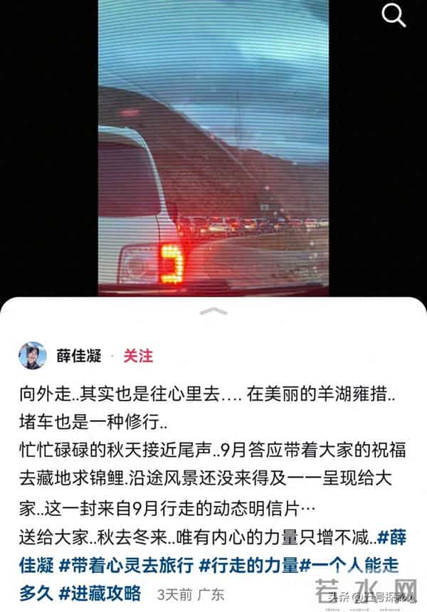 47岁薛佳凝现状,独居生活,未婚未育,却让300万人直呼羡慕!