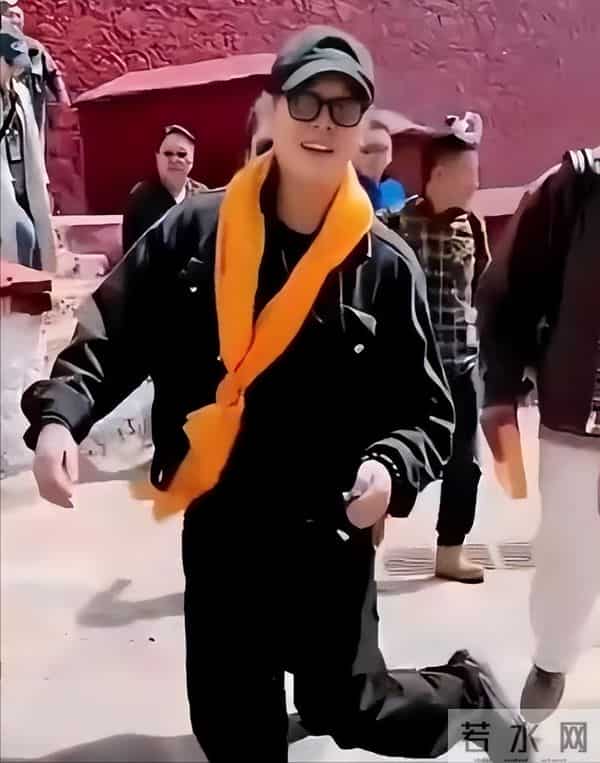 李连杰"换心"真相大白!向太透露内幕,彻底揭开一夜回春的秘密