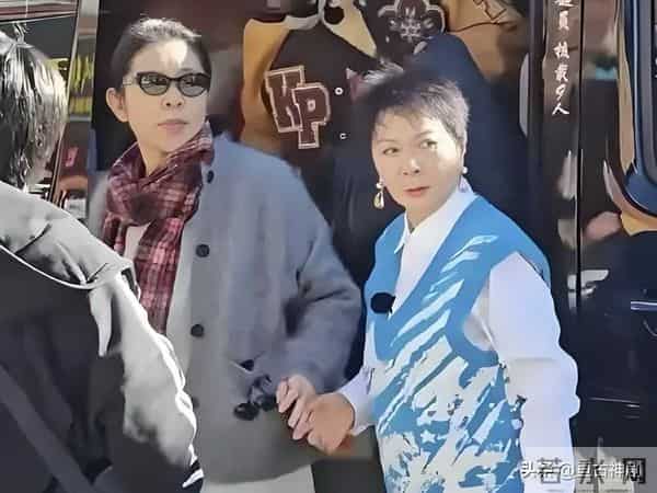 66岁倪萍公开给儿子催婚,26岁不结婚不恋爱,赚再多钱也没用