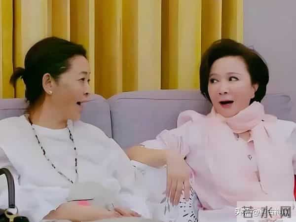 66岁倪萍公开给儿子催婚,26岁不结婚不恋爱,赚再多钱也没用