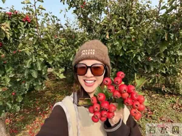 唐艺昕晒“山楂”丰收！摘了满满一篮子像个小富婆，张若昀好会养