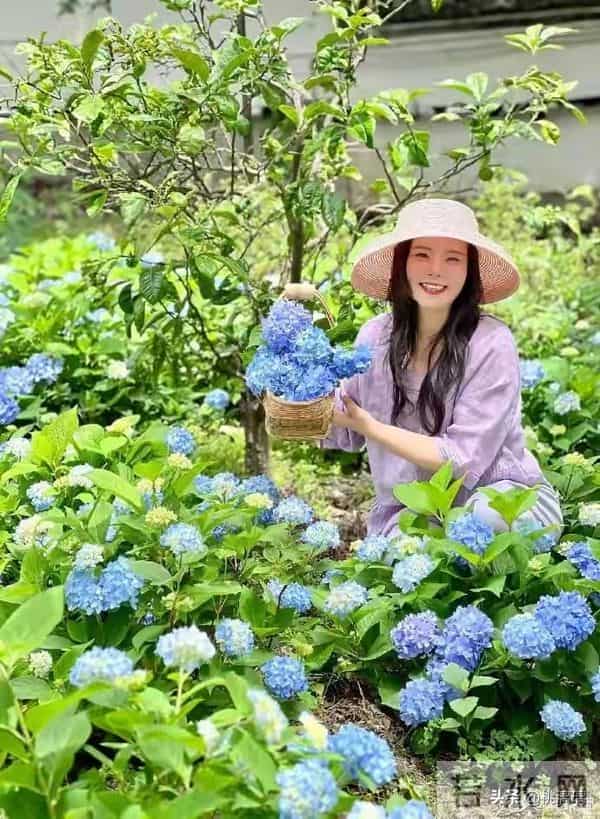 50岁龚琳娜选择深山独居，离婚后重新活出自我，成功走出悲伤