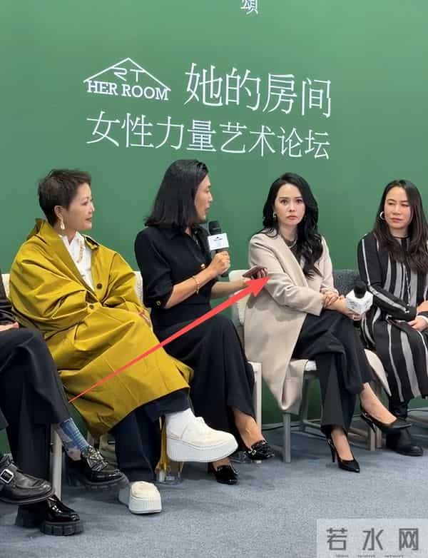 面相变了!伊能静现身艺术论坛皮松肉垮,穿奶奶裤难掩疲态显老态