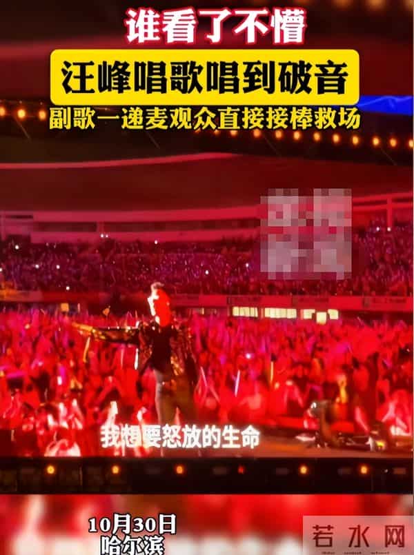 雪是森林北玩的,面子是汪峰拿的,刚入冬她就给章子怡上了一课